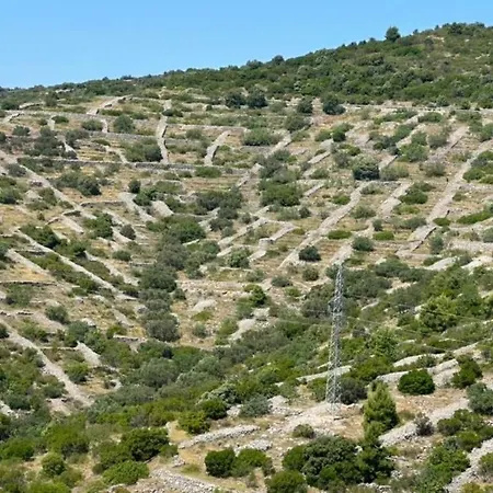 Takoma Hvar * 흐바르