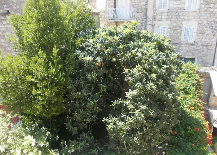 Takoma Hvar Apartment