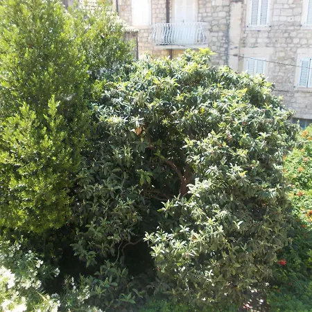 Takoma Hvar Apartman